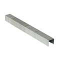 8mm Staples to suit Hammer Tacker x 5000
