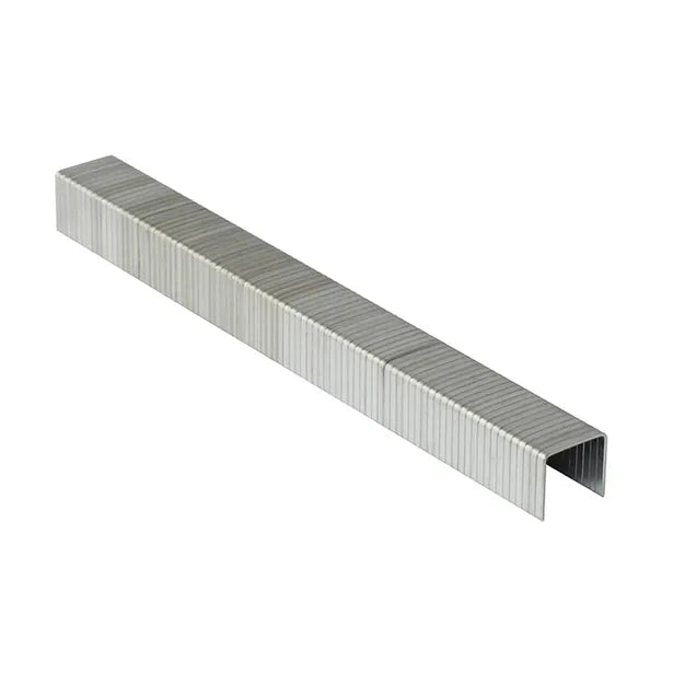 8mm Staples to suit Hammer Tacker x 5000